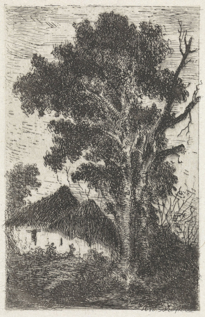 Detail of Thatched huts under a big tree by Arnoud Schaepkens