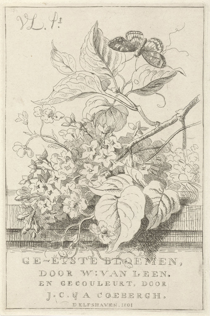 Detail of Flower Study with butterfly by Willem van Leen