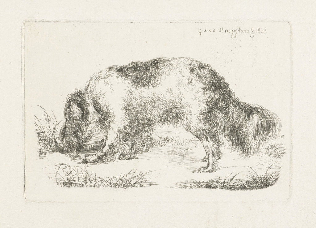 Detail of Drinking dog by Guillaume Anne van der Brugghen