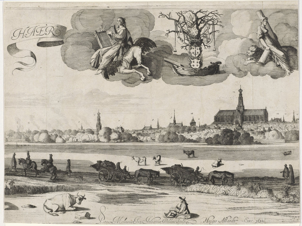 Detail of View of Haarlem C by Hugo Allard