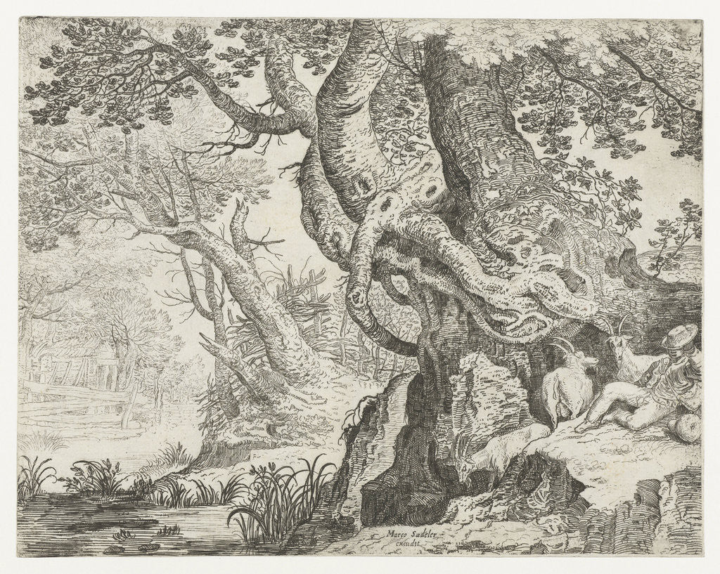 Detail of Sleeping Shepherd near a big tree, Roelandt Savery by Marcus Christoph Sadeler