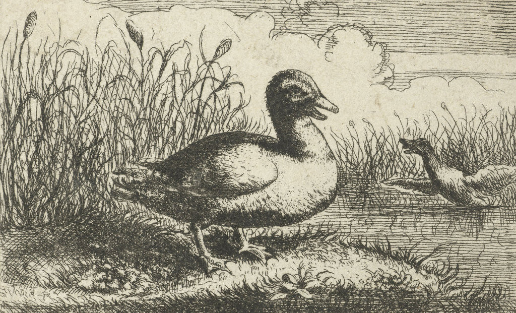 Detail of Landscape with wild duck by Albert Flamen