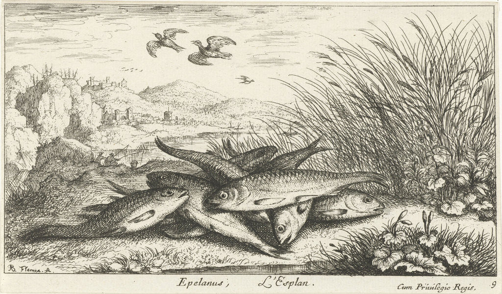 Detail of Fish on a riverbank by Albert Flamen