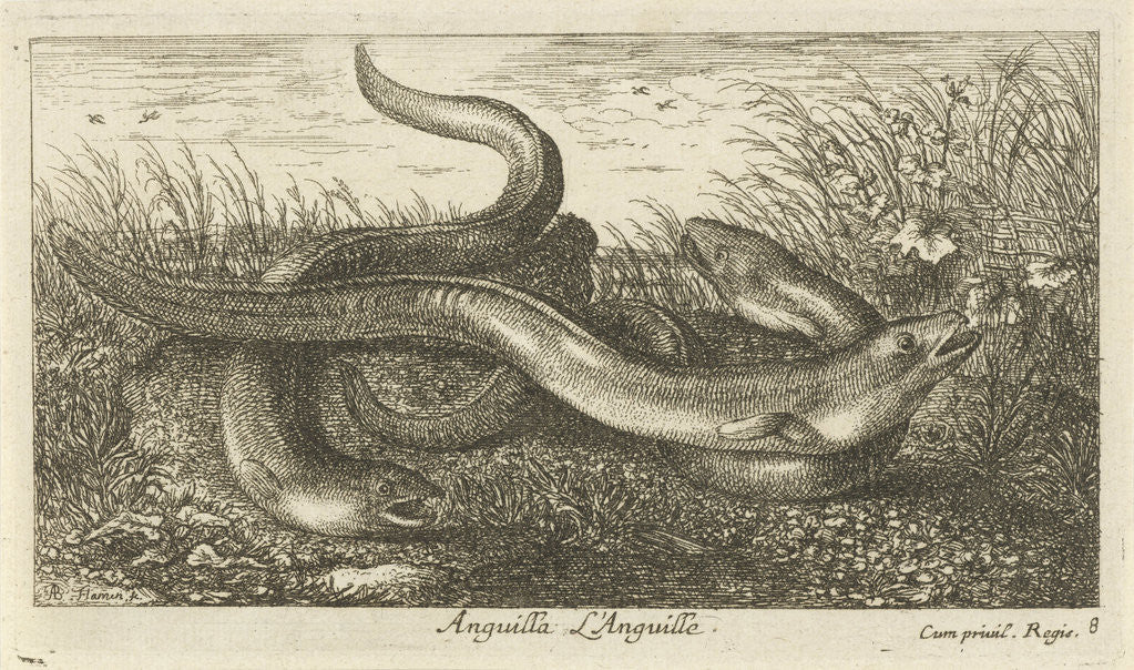Detail of Three eels in the grass by Albert Flamen