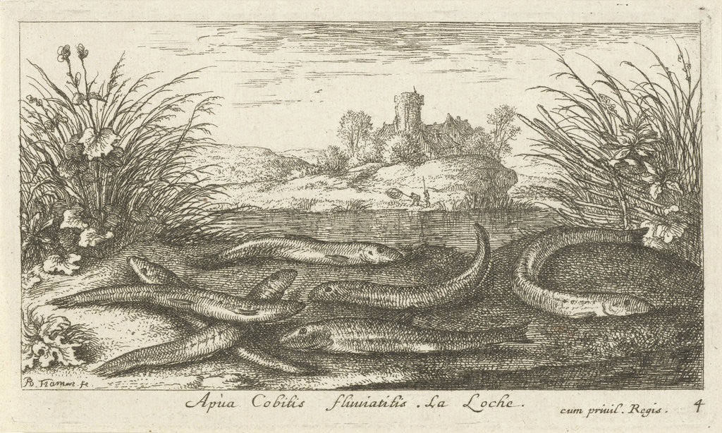Detail of Loaches on a river bank by Albert Flamen