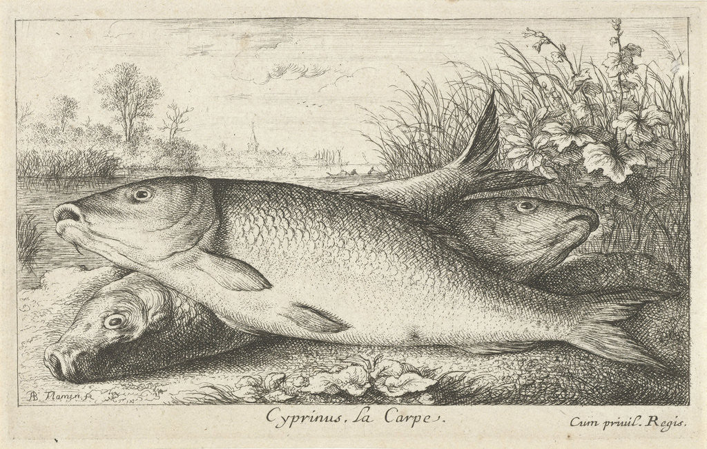 Detail of Three carp on a riverbank by Louis XIV King of France