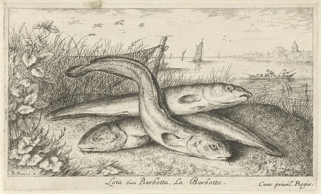 Detail of Three lobe eels on a riverbank by Louis XIV King of France