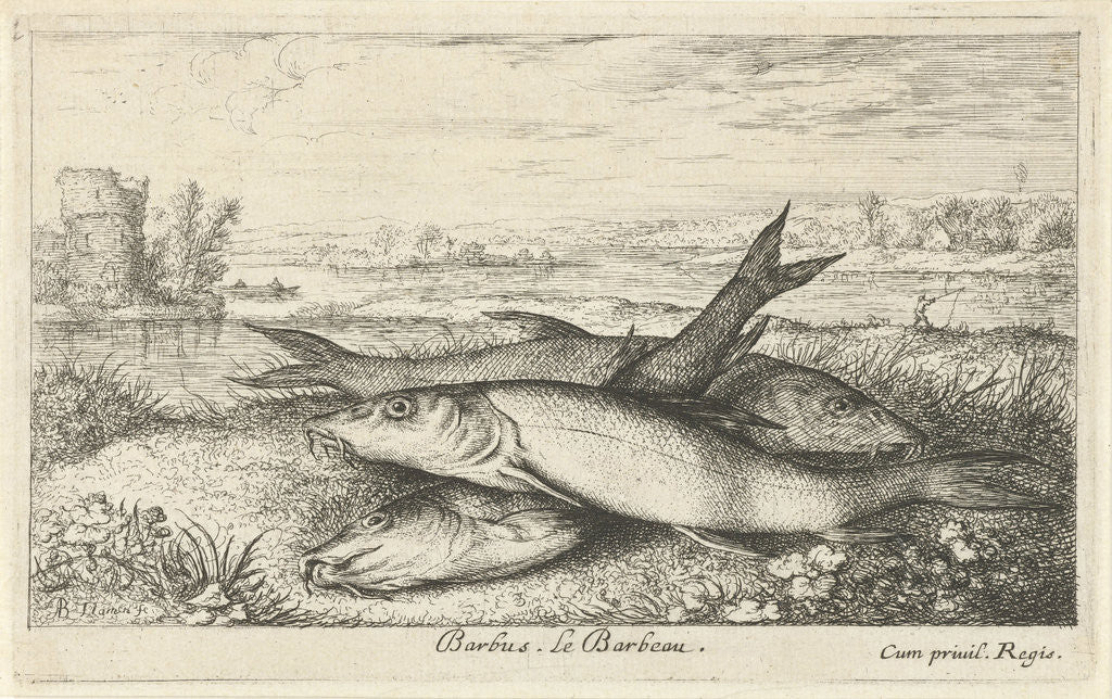 Detail of Three barbs on a riverbank by Lodewijk XIV