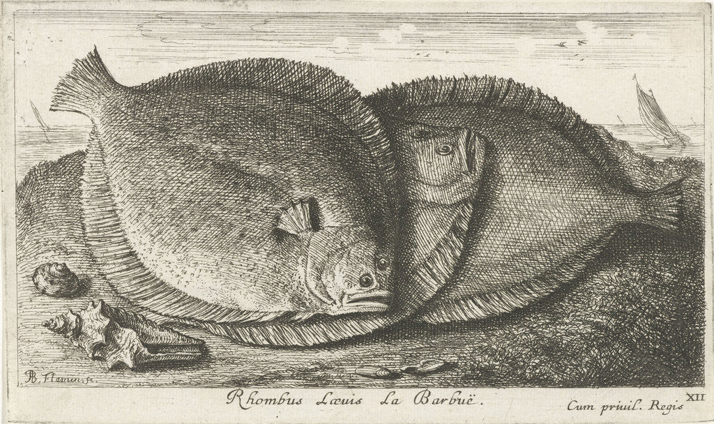 Detail of Three chicks on the beach by Lodewijk XIV