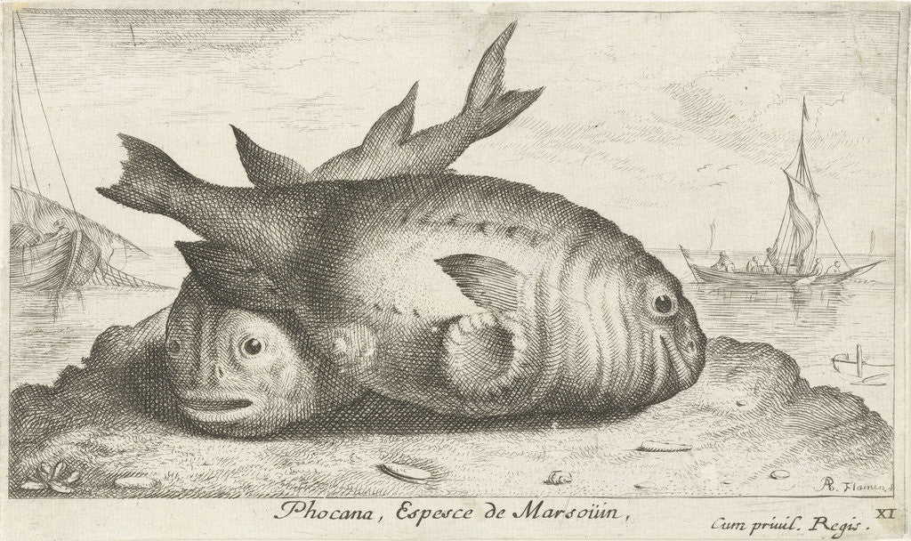 Detail of Two porpoises on the beach by Frans Geffels