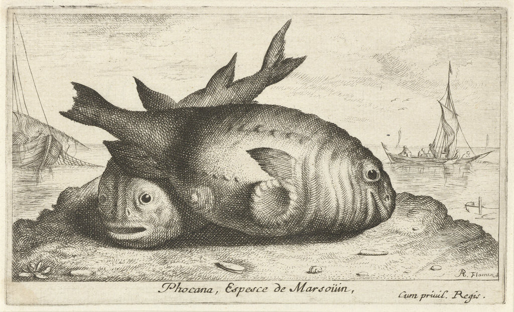 Detail of Two porpoises on the beach by Reinier Craeyvanger