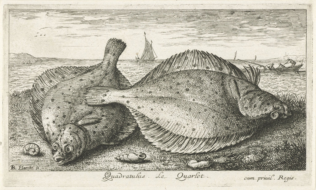 Detail of Two plaice on the beach by Reinier Craeyvanger
