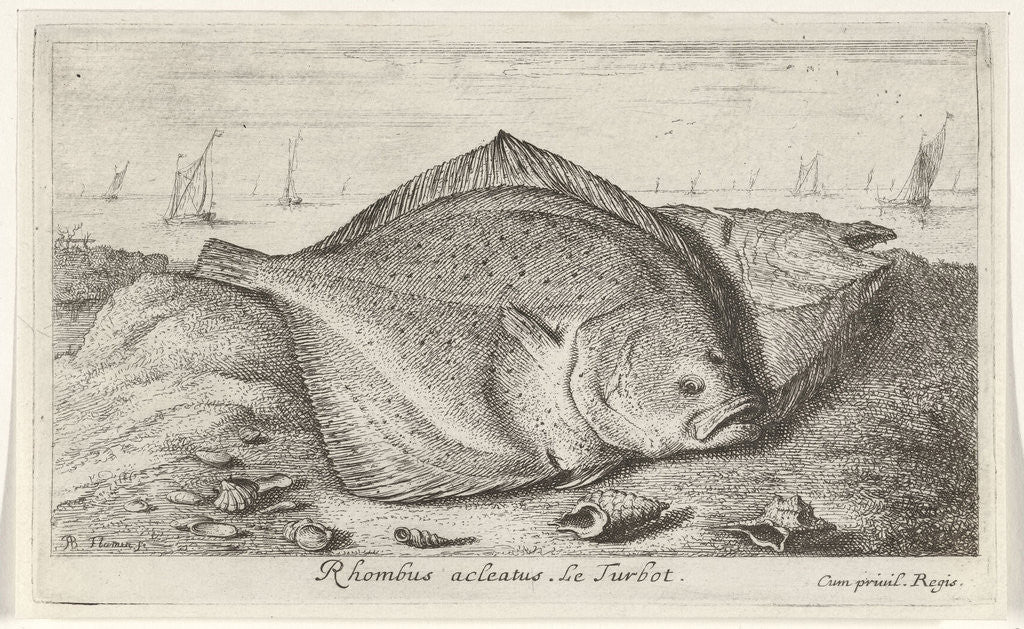 Detail of Two turbot on the beach by Lodewijk XIV