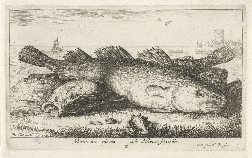 Detail of Two codfish at the beach by Albert Flamen