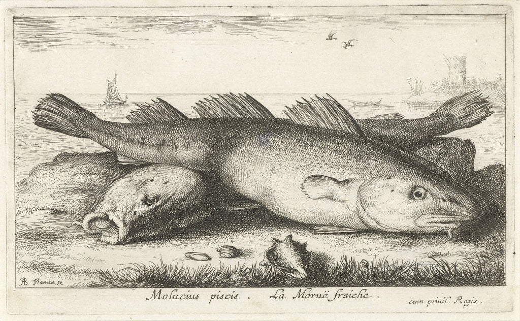 Detail of Two codfish at the beach by Albert Flamen