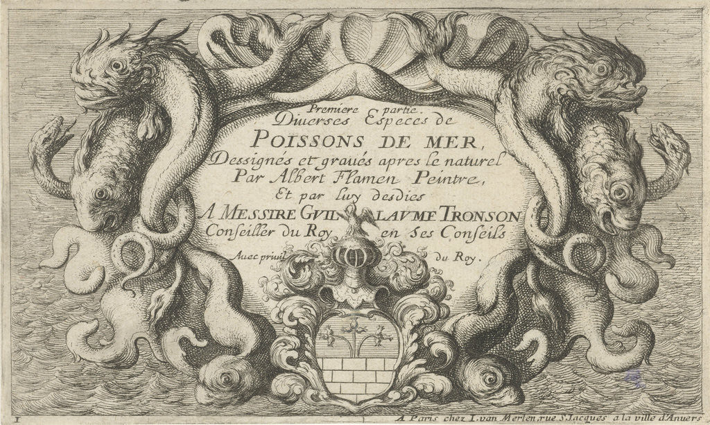 Detail of Shell-shaped cartouche with sea creatures by Albert Flamen