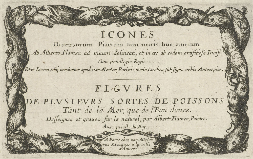 Detail of Cartouche with edge of fish by Albert Flamen