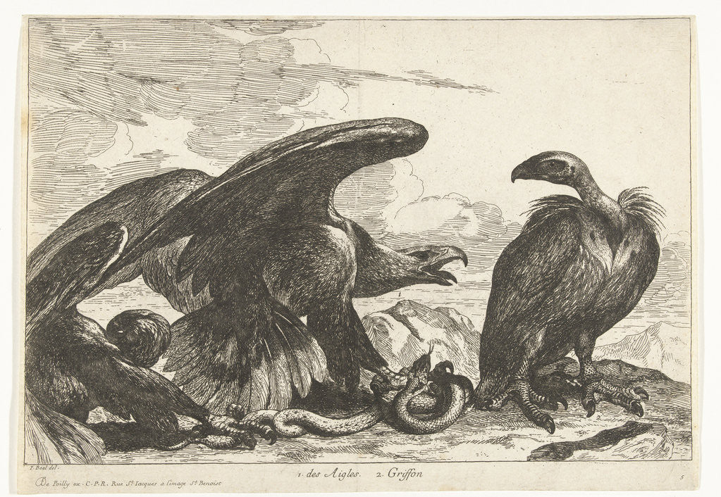 Detail of Vulture and an eagle with snake by De Poilly