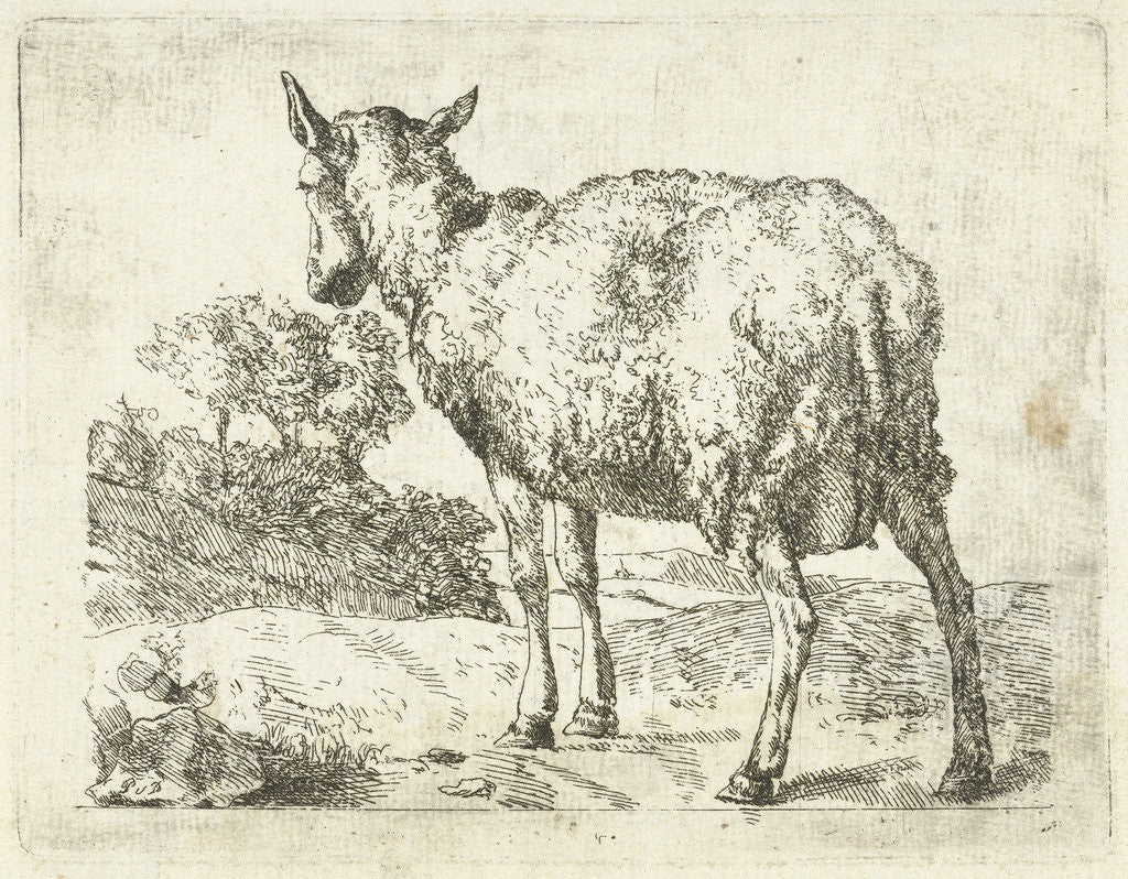 Detail of A sheep by Marcus de Bye