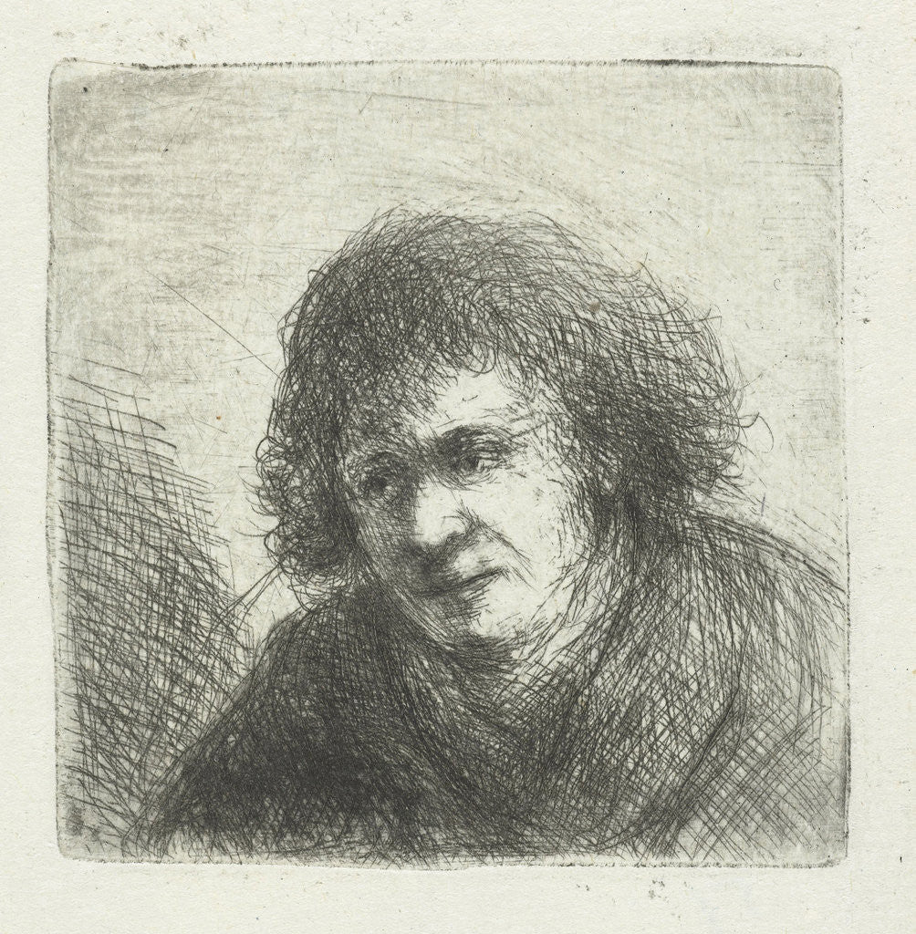 Detail of Adult male by Jan Chalon