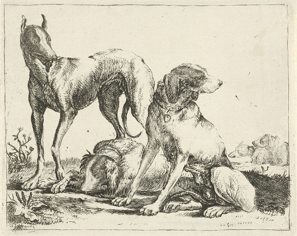 Detail of Three dogs by Pauwels van Hillegaert