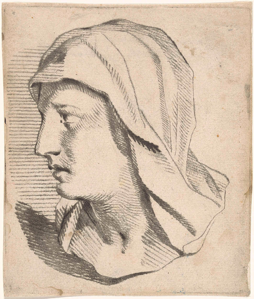 Detail of Female Bust, with shoulders drooping veil by Jan Snellen