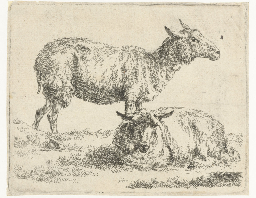Detail of Standing and lying sheep by Nicolaes Pietersz. Berchem