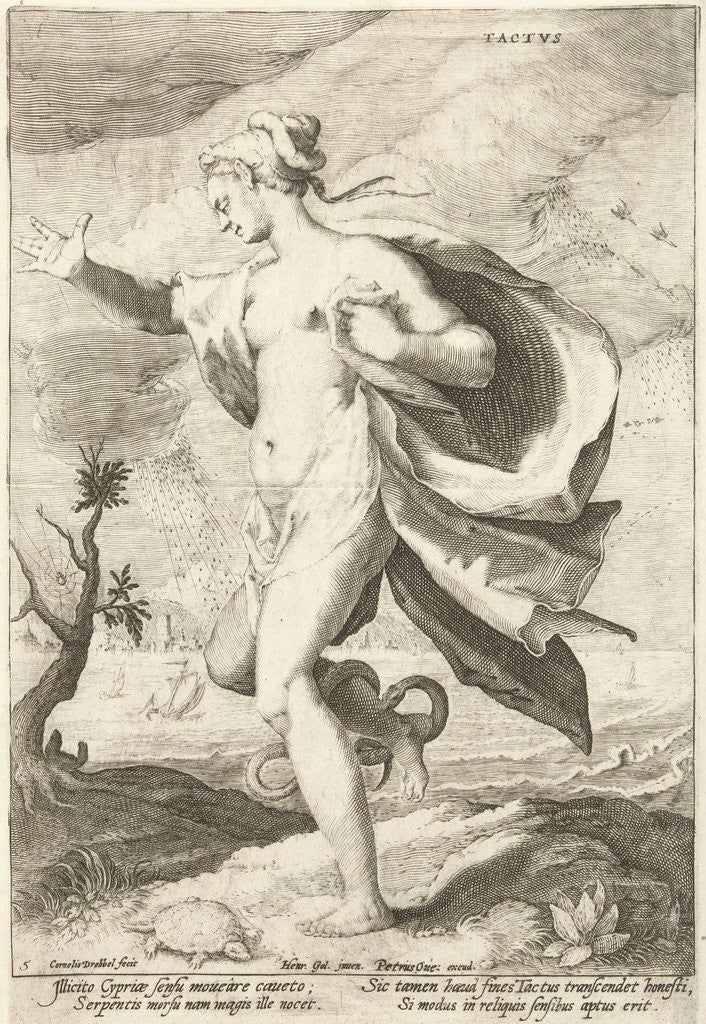 Detail of Tactvs by Petrus Overraat