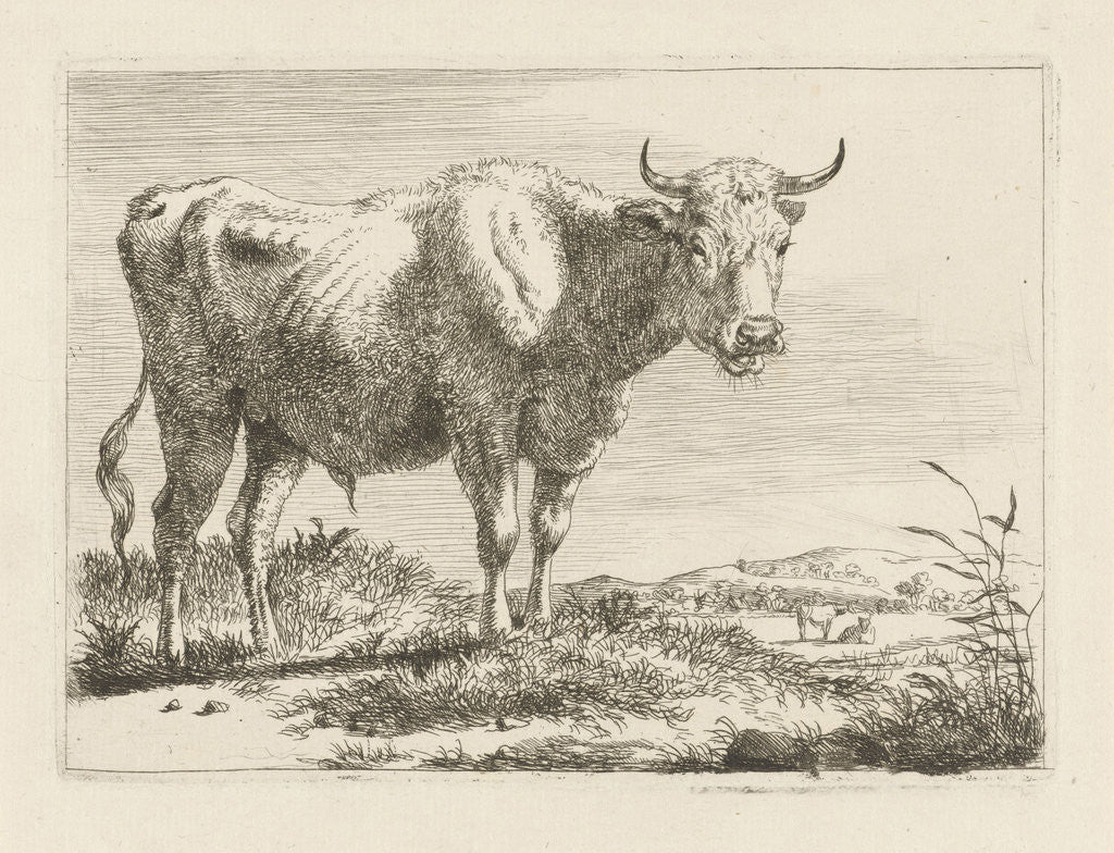 Detail of Standing bull by Pieter Gerardus van Os