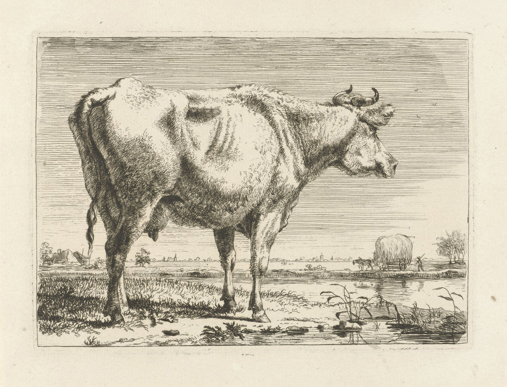 Detail of Standing cow by Pieter Gerardus van Os