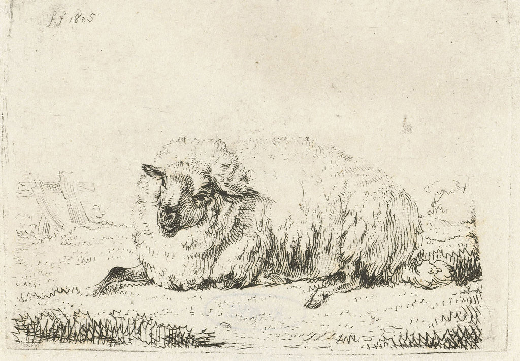 Detail of Lying sheep with thick fur by Frédéric Théodore Faber