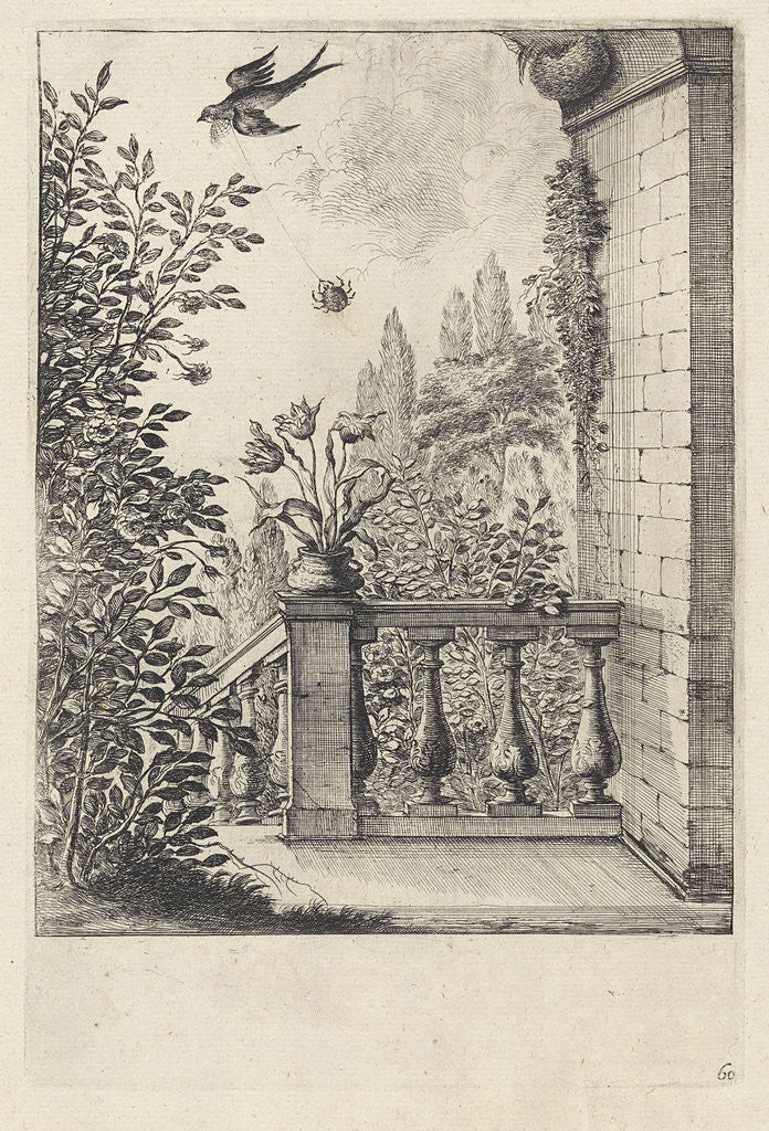 Detail of Fable of the spider and the swallow by John Ogilby