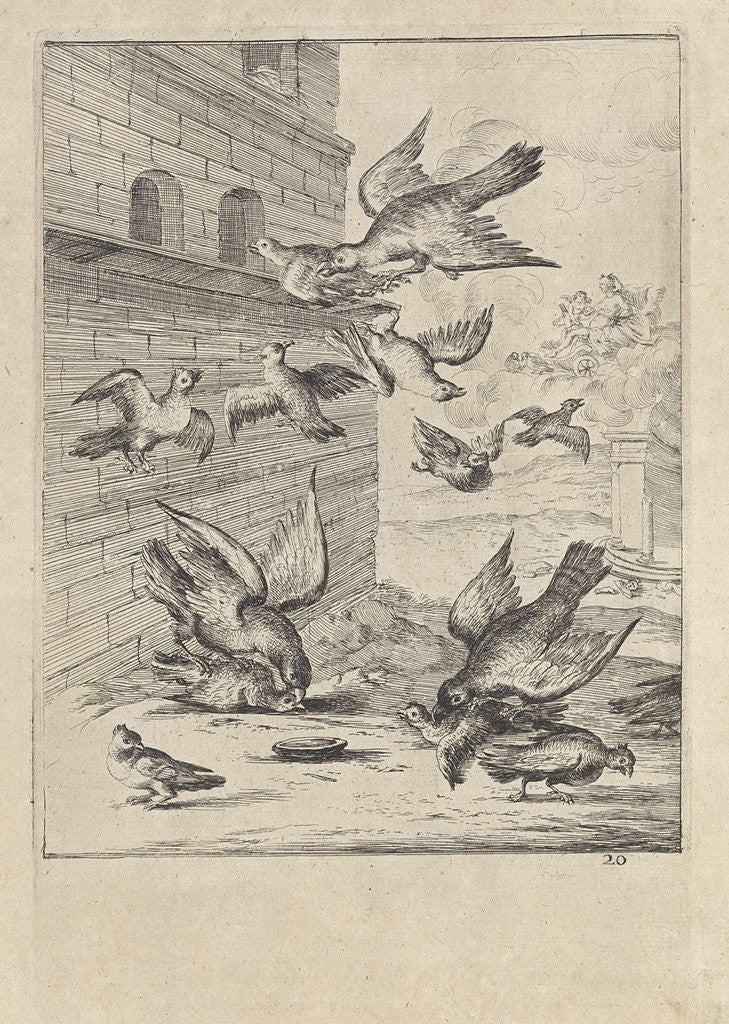Detail of Fable of the doves and the hawks by John Ogilby