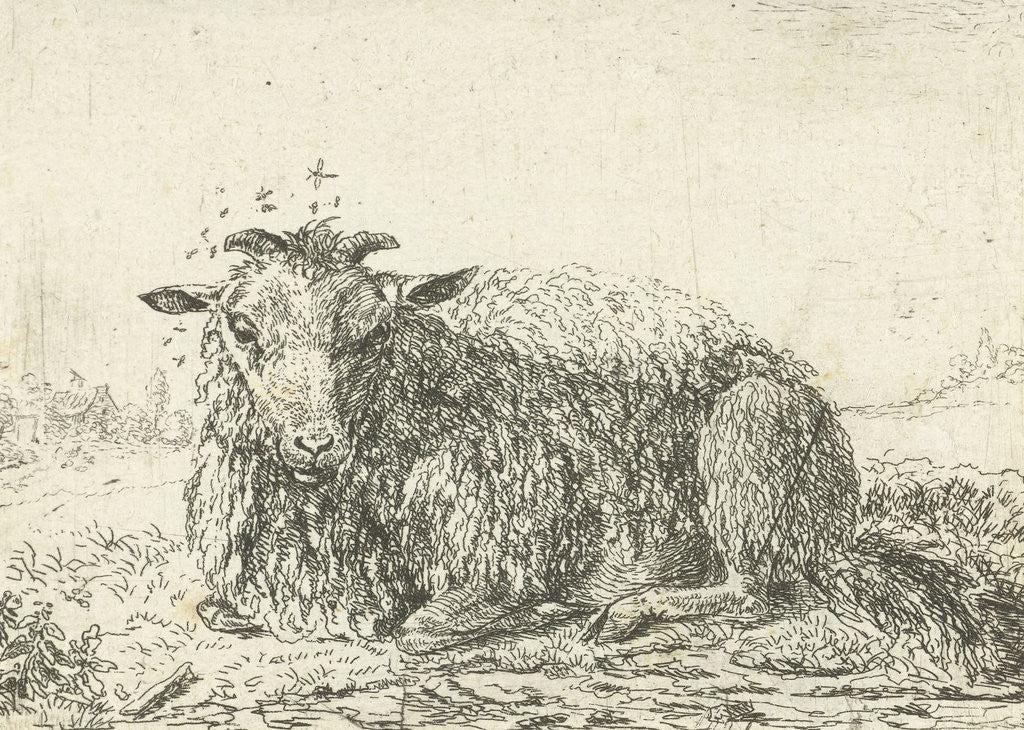 Sheep flying by Karel Dujardin