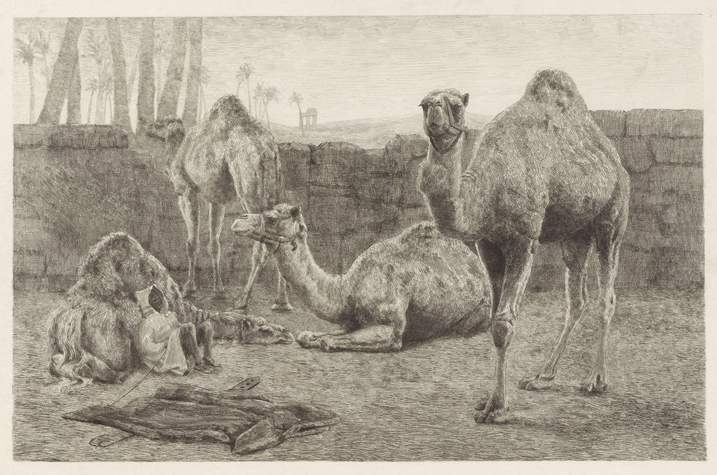 Detail of Camels by August Le Gras