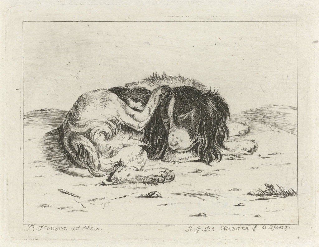 Detail of Sleeping dog by Hendrik Godart de Marée