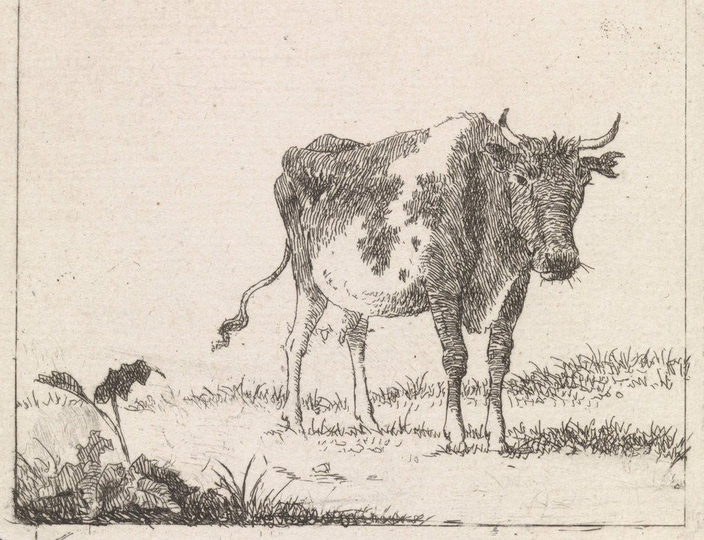 Detail of Cow standing in pasture by Johannes Christiaan Janson