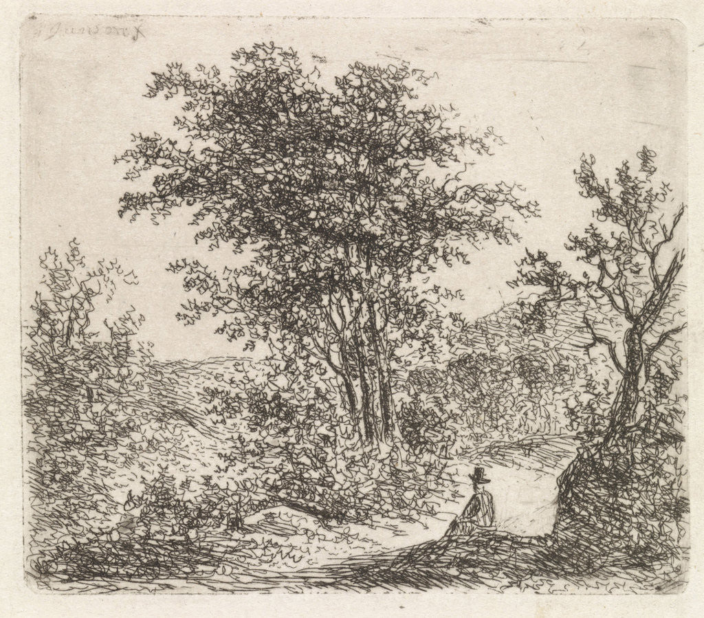 Detail of Wooded Landscape with seated figure by Johannes Christiaan Janson