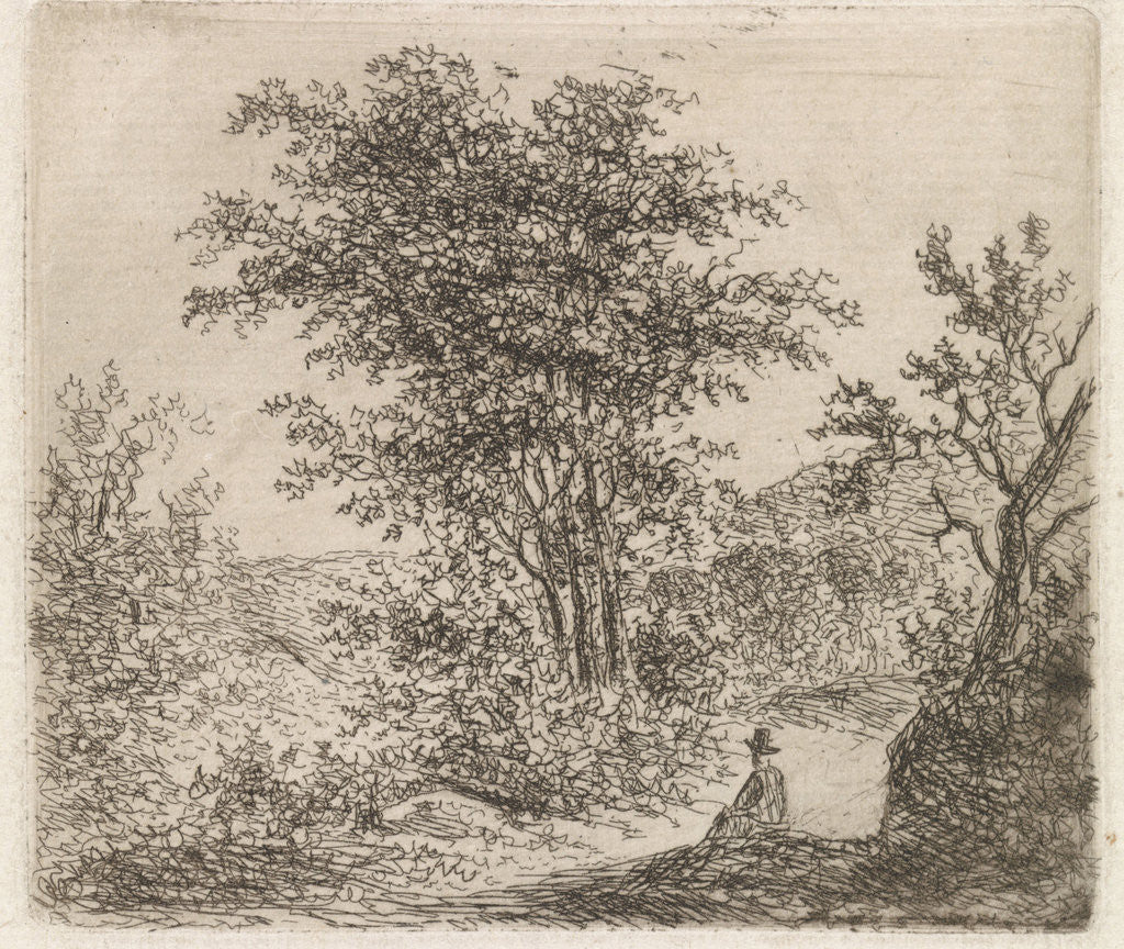 Detail of Wooded Landscape with seated figure by Johannes Christiaan Janson