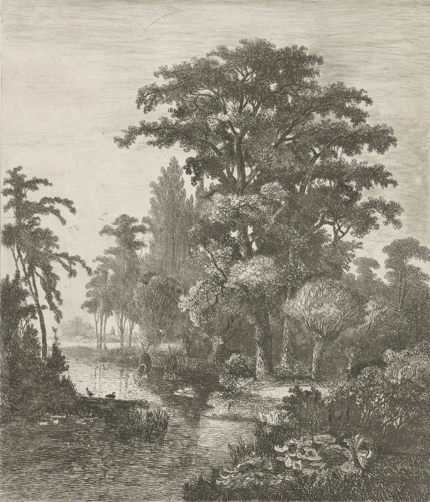 Detail of forest scene with two ducks nesting in a river by Hermanus Jan Hendrik van Rijkelijkhuysen