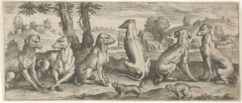 Detail of Dogs by Abraham de Bruyn