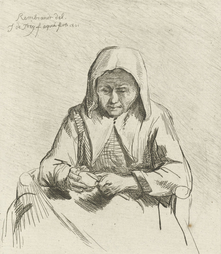 Detail of Apple different woman by Johannes Pieter de Frey