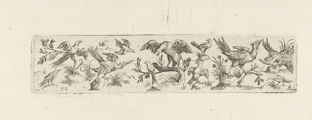 Detail of Frieze with eleven birds, in the middle is a large bird on a branch by Marcus Geeraerts
