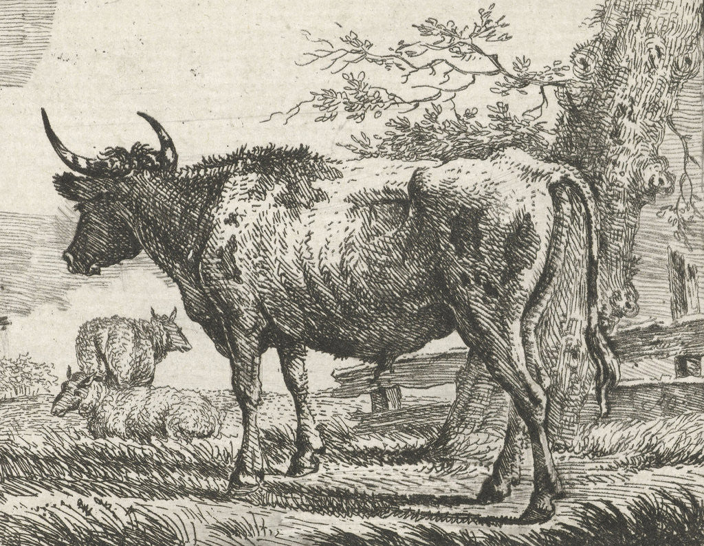 Detail of Standing cow with two sheep by Anthony Oberman