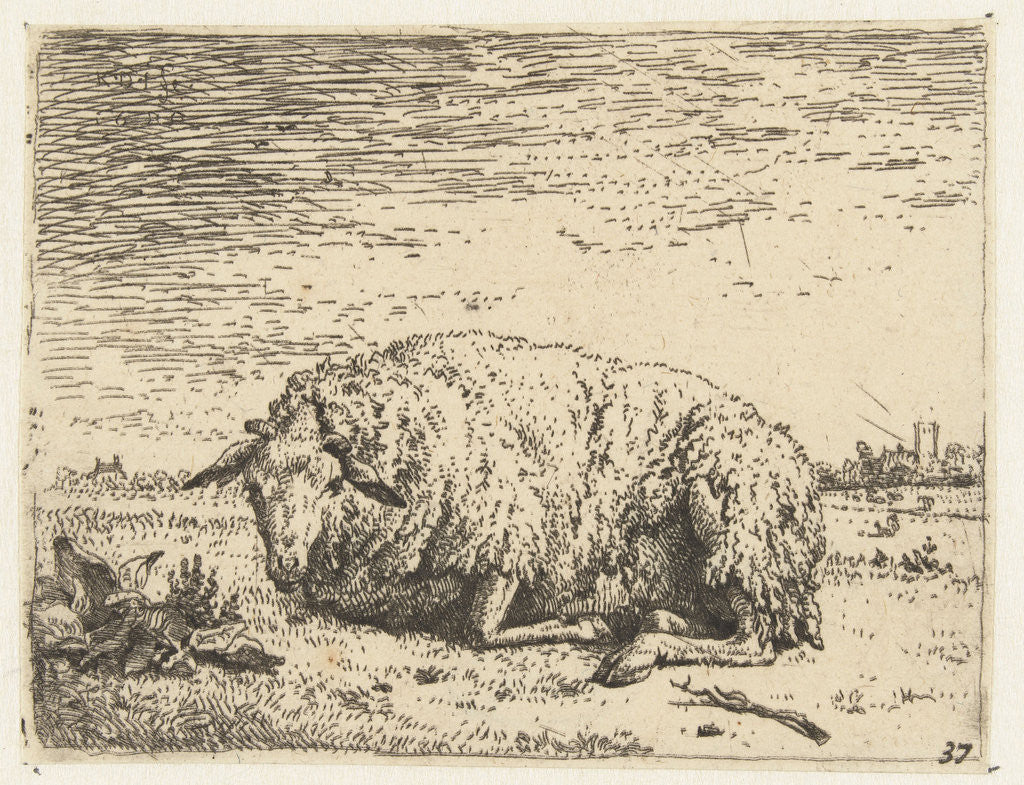 Detail of Resting sheep by Karel Dujardin