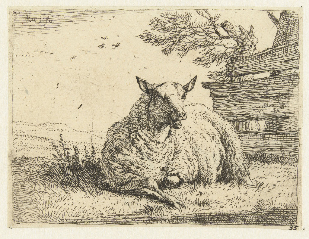 Detail of Sheep on a fence by Karel Dujardin