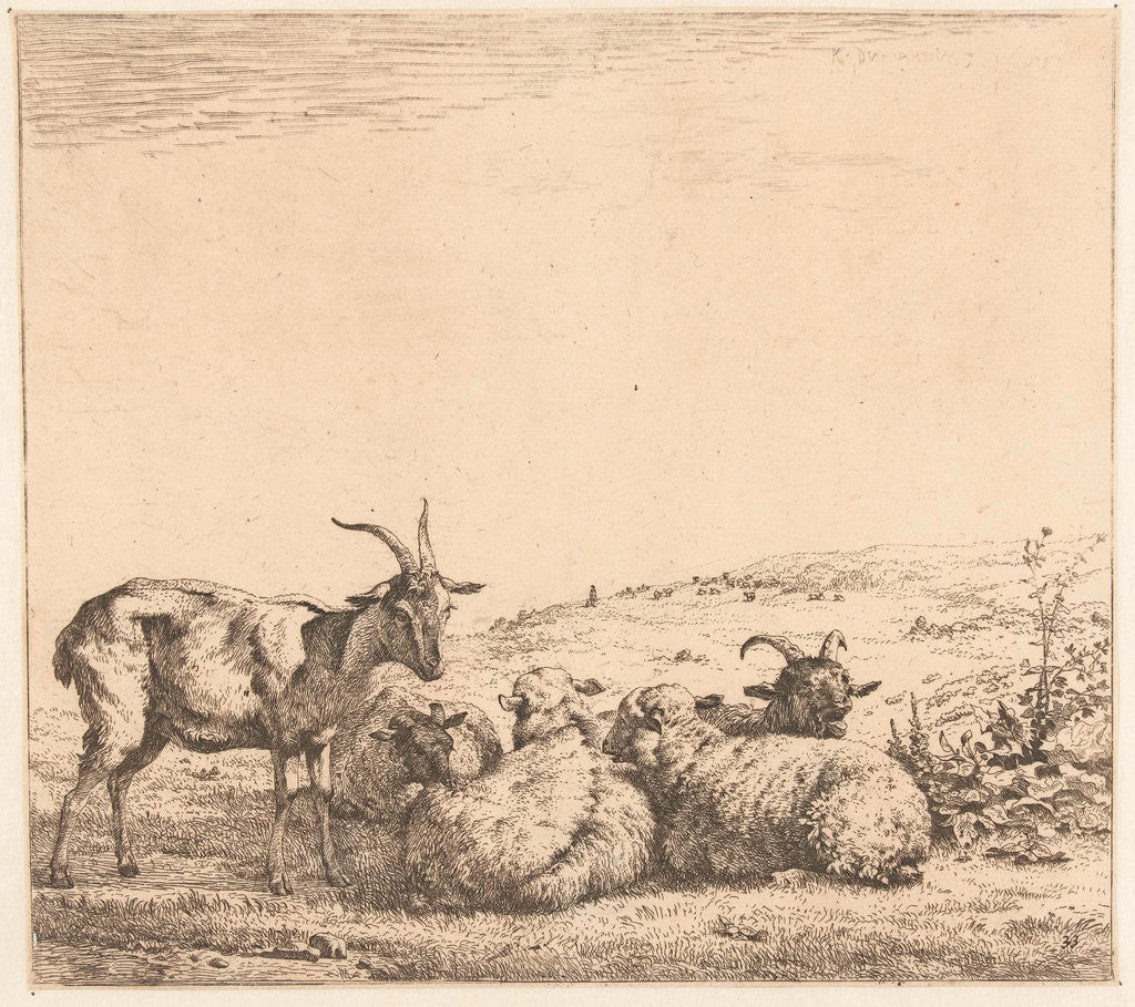 Detail of Two goats and three sheep by Karel Dujardin