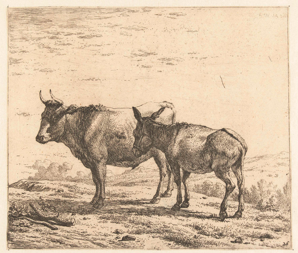 Detail of Ox and donkey by Karel Dujardin