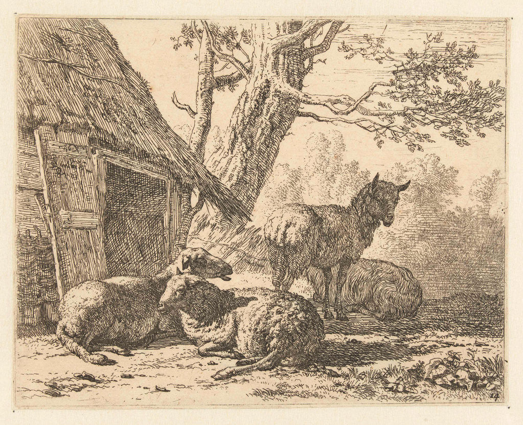 Detail of Four sheep by Karel Dujardin