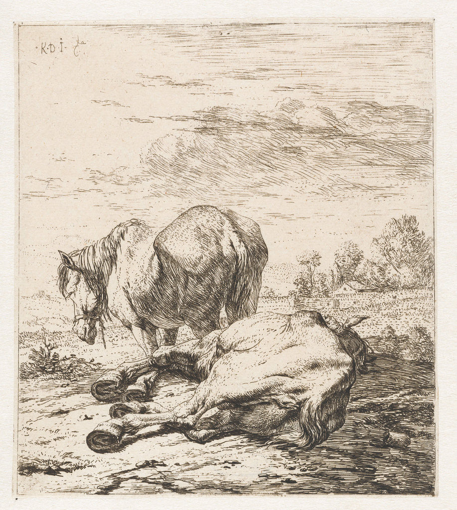 Detail of Two horses by Karel Dujardin